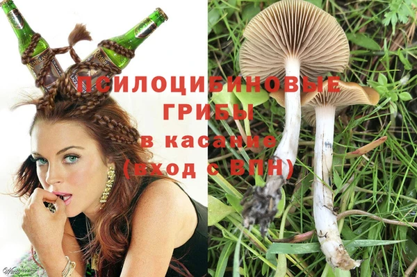 ALPHA-PVP Нязепетровск