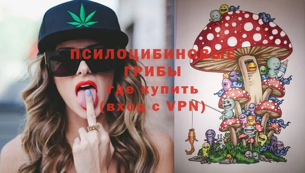круглые Няндома