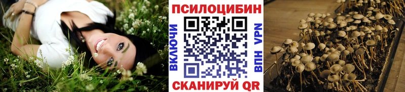 блэк спрут ссылка Иноземцево Псилоцибиновые грибы MAGIC MUSHROOMS